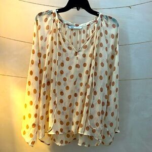 Zara Sheer Long Sleeve Blouse